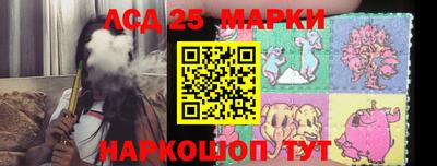 шишки Моздок