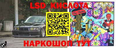 шишки Моздок