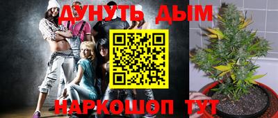 шишки Моздок