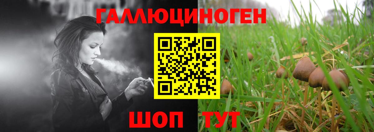 Химки  Галлюциногенные грибы Psilocybe  Вход с VPN 
